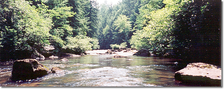 Photo of Chestatee River - many of our units have direct river access!